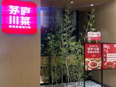 -茅庐川菜(青岛凯德店)