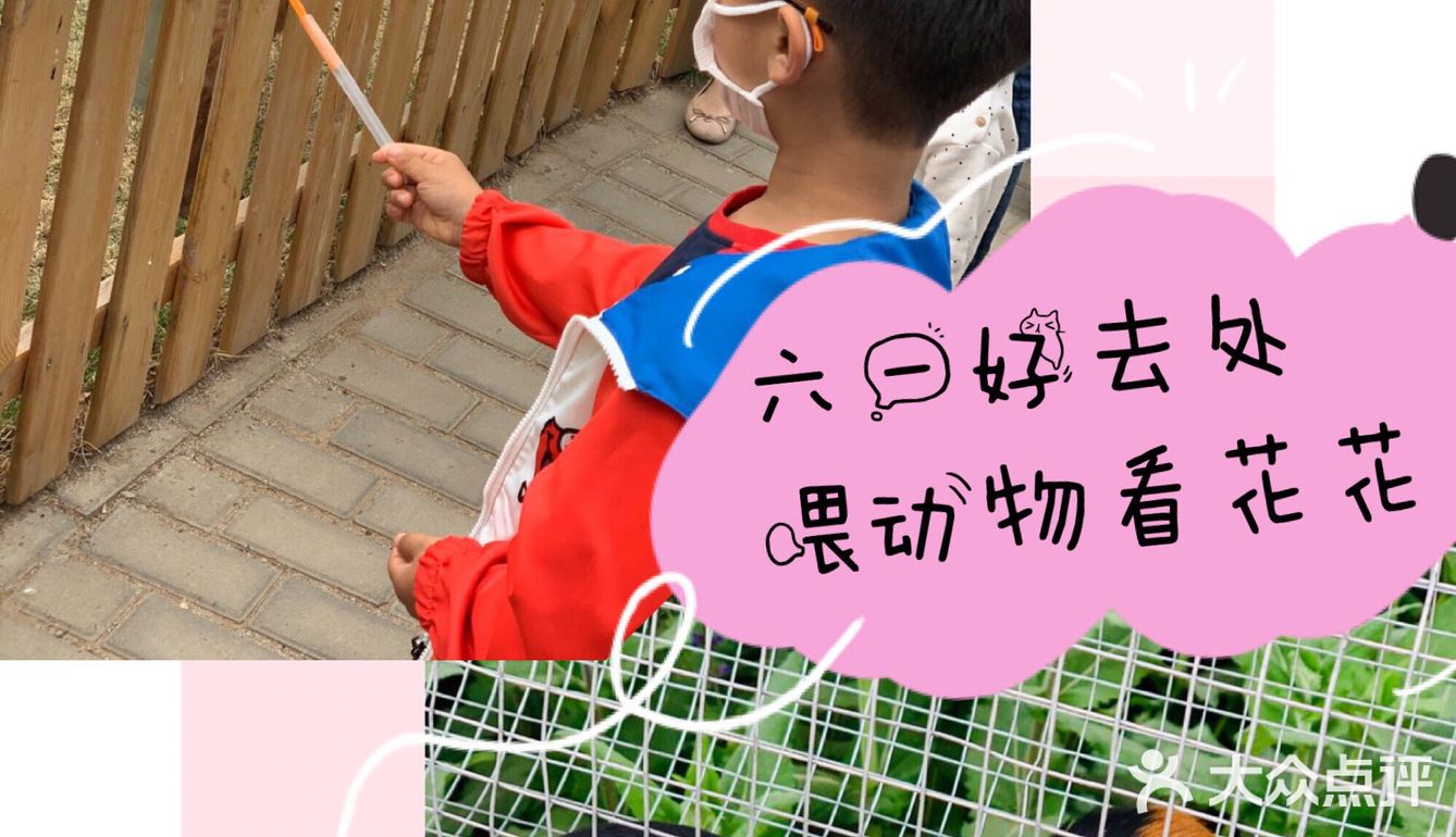 六一给大家推荐[加油]儿童萌宠乐园超可爱