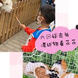 六一给大家推荐[加油]儿童萌宠乐园超可爱