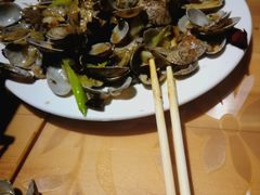 -小叶大馅饺子城