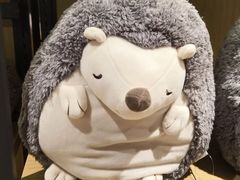 -九木杂物社(大东方百货店)