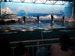 -秦皇岛乐岛海洋王国