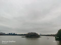 -海珠湖公园