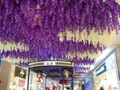 -深圳龙华星河COCO City(民治店)