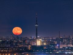 -北京西山国家森林公园