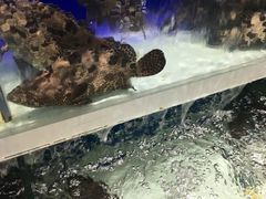 -盒马鲜生(悦峰店)