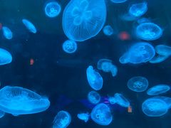 -台州海洋世界