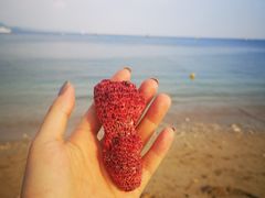 -白沙湾海滩