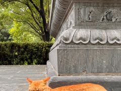 -洛阳白马寺