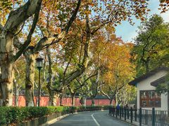 -北山街历史文化街区
