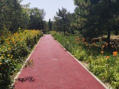 -绿堤公园
