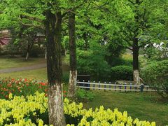 -铁山坪森林公园