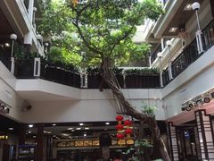-广州酒家(文昌总店)