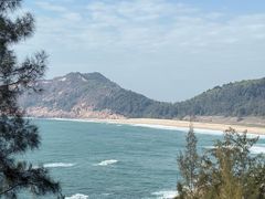 -广东惠东海龟国家级自然保护区