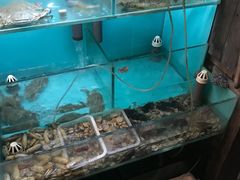 水产区-小时候焗海鲜(鄞州万达店)
