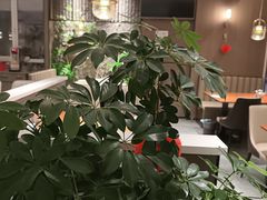 -纪林菜馆·博山菜老字号(华光路店)