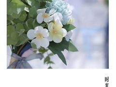 -安徽广播电视台