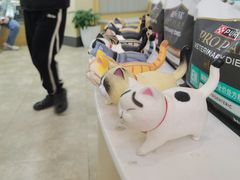 -美联众合动物医院·24h转诊中心