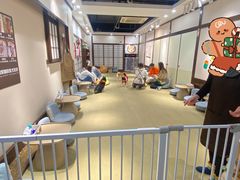 -逗柴咖啡屋·狗咖猫咖宠物桌游
