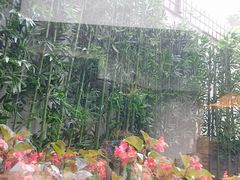 -亮马河饭店翠雅咖啡厅