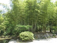 -庐山风景区花径公园