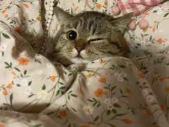 -月枫堂(长春这有山店)