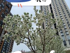 -沈阳铁西万象汇