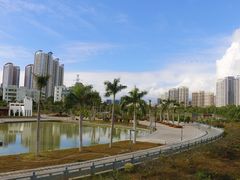 -金鸡岭桥头公园