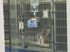 -爱诺耐芙动物医院(万博店)