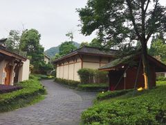 -青城山六善酒店·紫氣園中餐厅