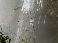 -龙苍沟森林公园