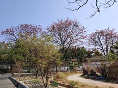 -喜洲吧·江畔老船厂·庭院餐厅(喜临院店)