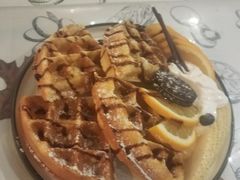 水果华夫饼-吉丁鸟咖·异宠·寄养