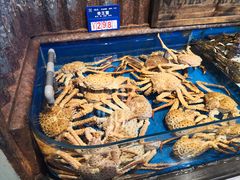 -开海·红岛海鲜虾水饺(石老人店)