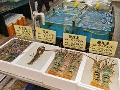 水产区-蚝得喜海鲜(东城店)