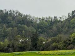 -新安江山水画廊风景区