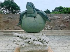 -广东惠东海龟国家级自然保护区