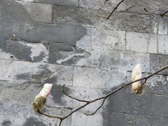 -东华门大街小区