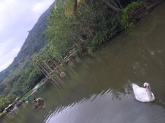 -呀诺达热带雨林