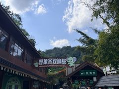 -野象谷景区