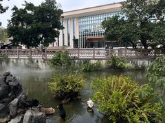 -广西壮族自治区博物馆