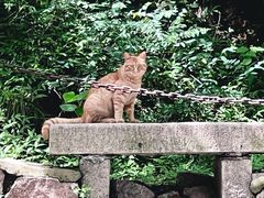 -北京凤凰岭