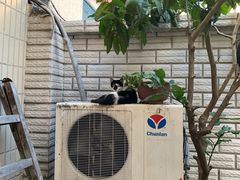 -猛犸手作·皮具·diy团建·礼品定制(新华路店)