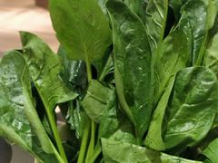 菠菜小份-捞王锅物料理(上海世茂广场店)