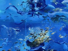 -正佳极地海洋世界