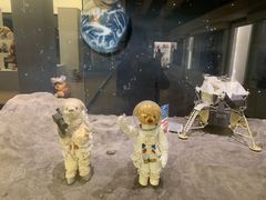 -济州岛泰迪熊博物馆