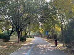 -永定河休闲森林公园