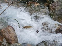 -西岭雪山大飞水景区