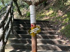 -石台牯牛降景区