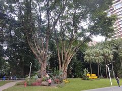 -人民公园(罗湖区)